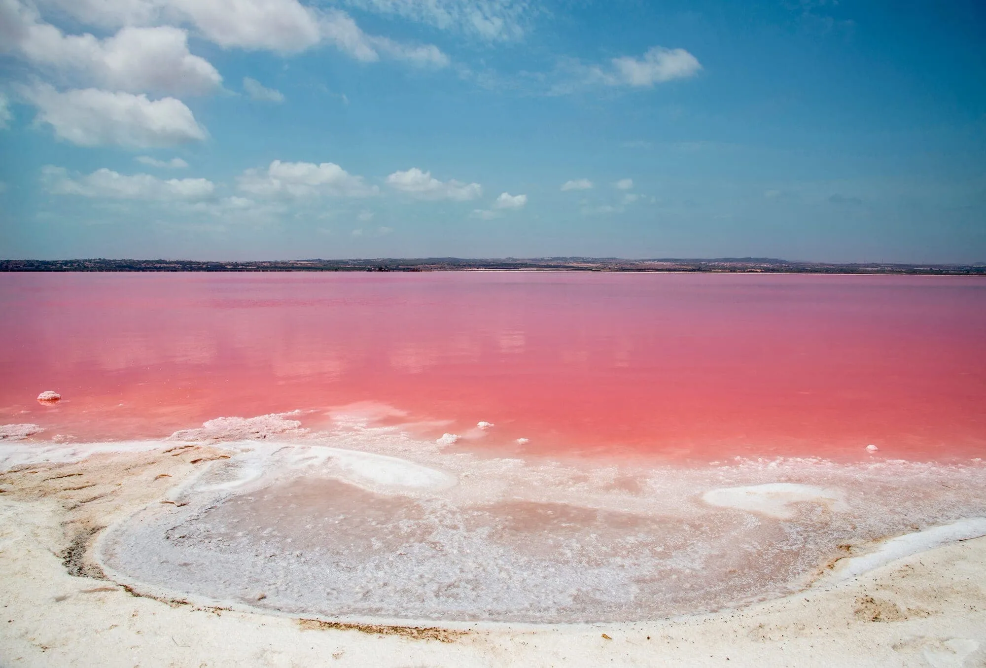 Pink Lagoon 1